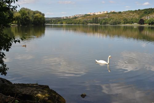 Dijon lac de kir 2012 08 16 3