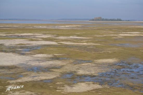 Lac du der 2016 3