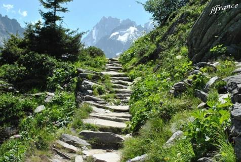 Mer de glace 2013 10