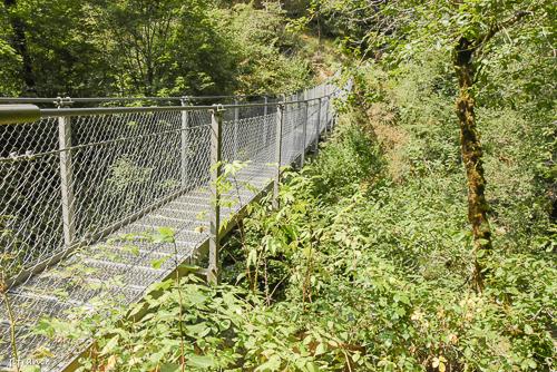 Passerelle himalayenne des rochers noirs 2024 08 2