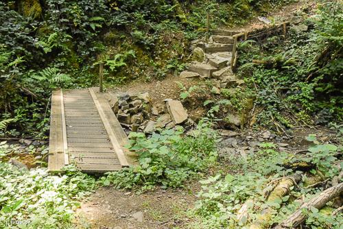 Passerelle himalayenne des rochers noirs 2024 08 5