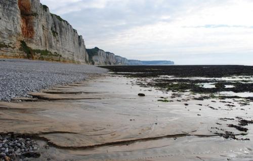 Plage de fecamp 24 07 10 22